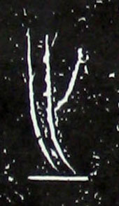 ϸ