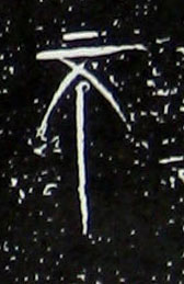 ϸ