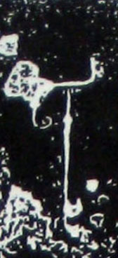 ϸ