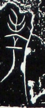 ϸ