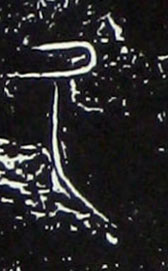 ϸ