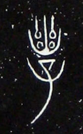 ϸ