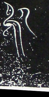 ϸ