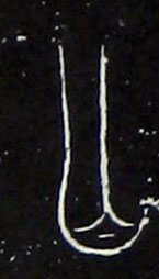 ϸ