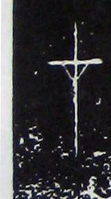 ϸ