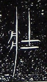 ϸ