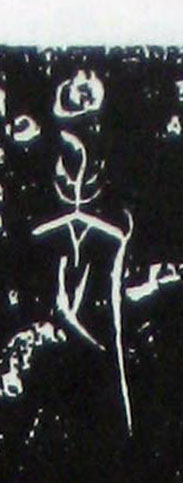 ϸ