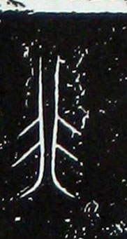 ϸ