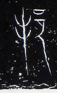 ϸ