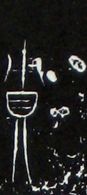 ϸ