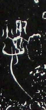 ϸ