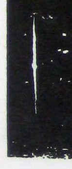 ϸ