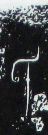 ϸ