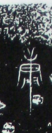ϸ