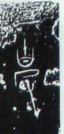 ϸ