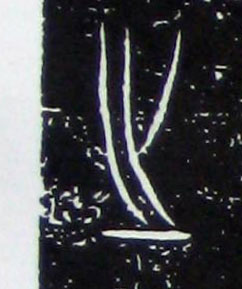 ϸ