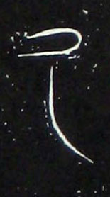 ϸ