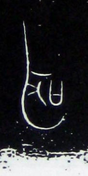 ϸ