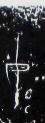 ϸ