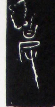 ϸ
