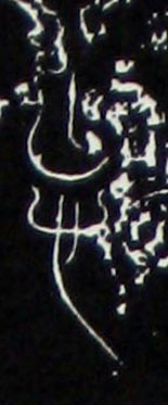ϸ