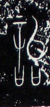 ϸ