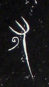 ϸ