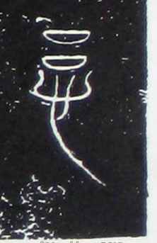 ϸ