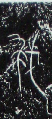 ϸ