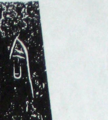 ϸ