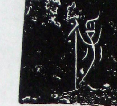 ϸ