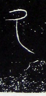 ϸ