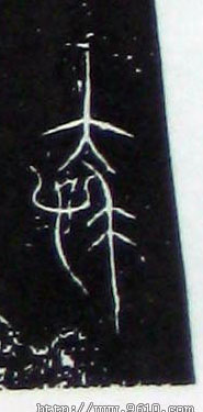 ϸ