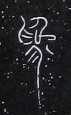 ϸ