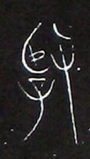 ϸ
