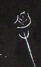 ϸ