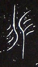 ϸ
