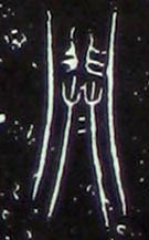 ϸ