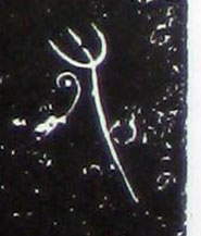 ϸ