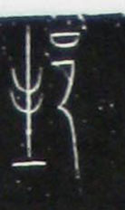 ϸ