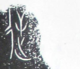 ϸ