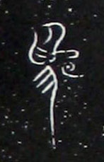 ϸ