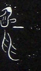 ϸ