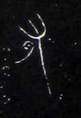 ϸ
