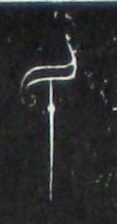 ϸ