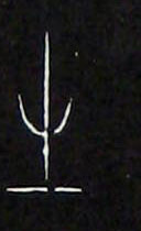 ϸ
