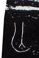 ϸ