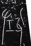 ϸ
