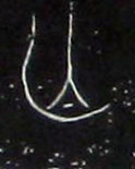 ϸ