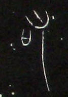 ϸ